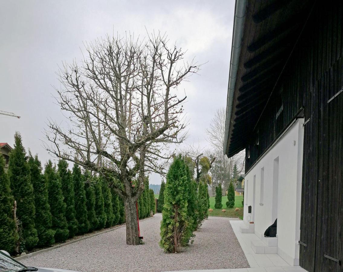 Münsing Nähe Starnberger See, schöne Ferienwohnung, Gästewohnung 125qm EG OG KONTAKTFREI Exterior foto